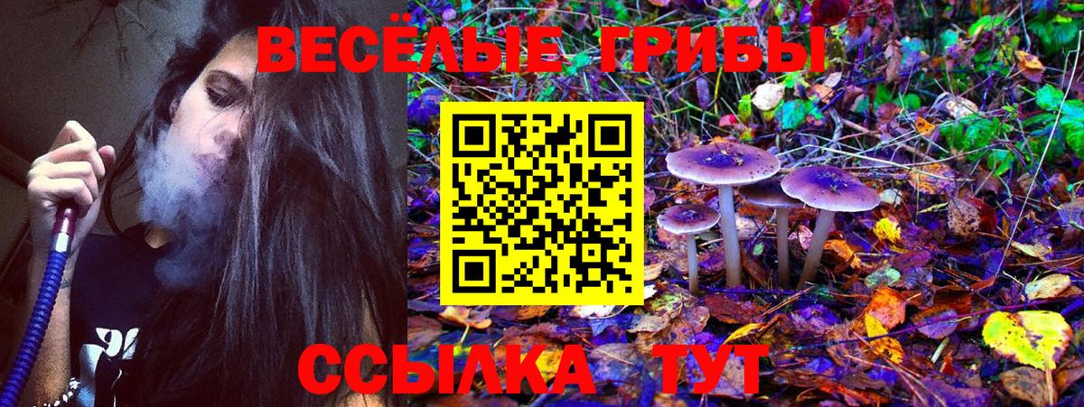 Псилоцибиновые грибы ЛСД  Псилоцибиновые грибы Magic Shrooms  Соль-Илецк  Вход с VPN 