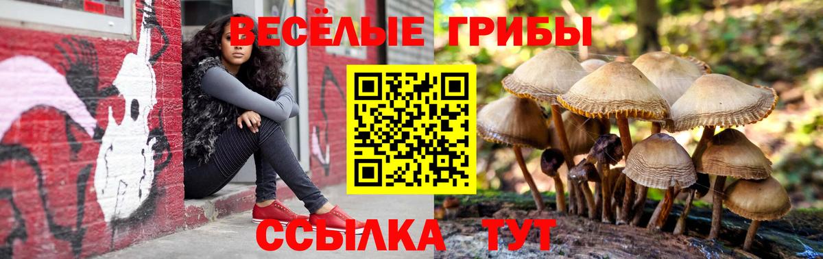 Псилоцибиновые грибы ЛСД Соль-Илецк